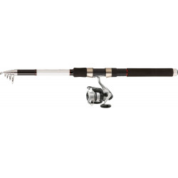 SE TELE SPIN DAIWA SW 18 T...
